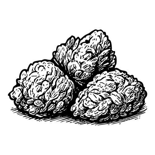 Bloc Web Category Icons 090925 Flower